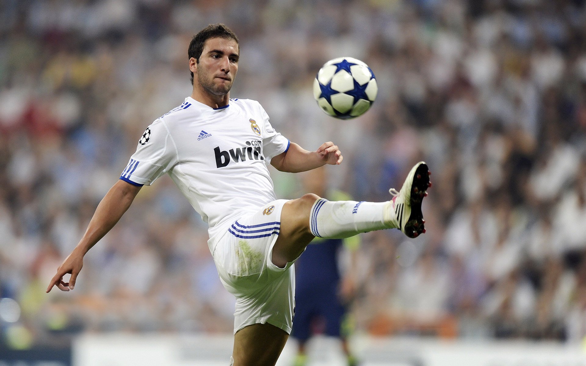 南非橄榄球走向世界,全球球迷基础日益扩大,95南非橄榄球